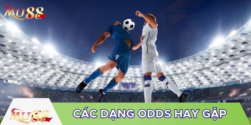 Các dạng odds hay gặp