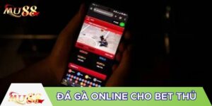 Cách chơi đá gà online khá dễ hiểu