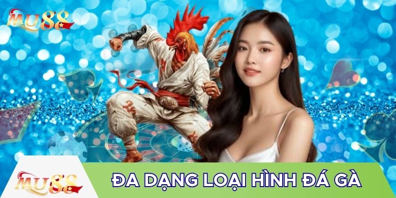 Đa dạng loại hình đá gà