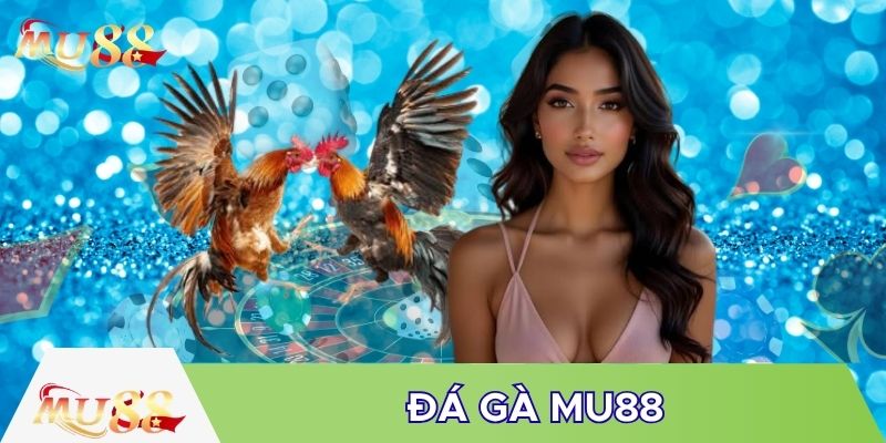 Nhiều sảnh chơi tại đá gà MU88