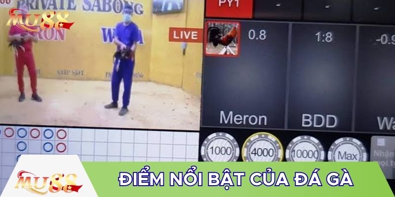 Điểm nổi bật đá gà online