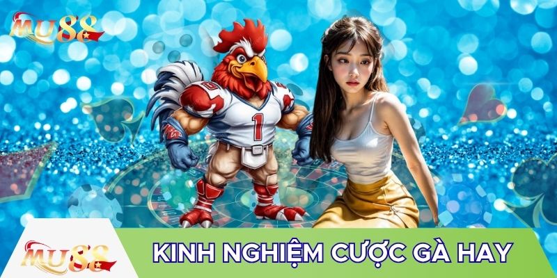 Kinh nghiệm đá gà