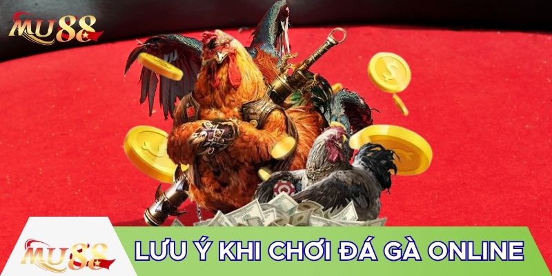 Lưu ý khi chơi đá gà online