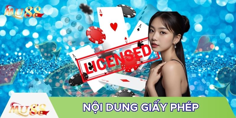 Nội dung giấy phép