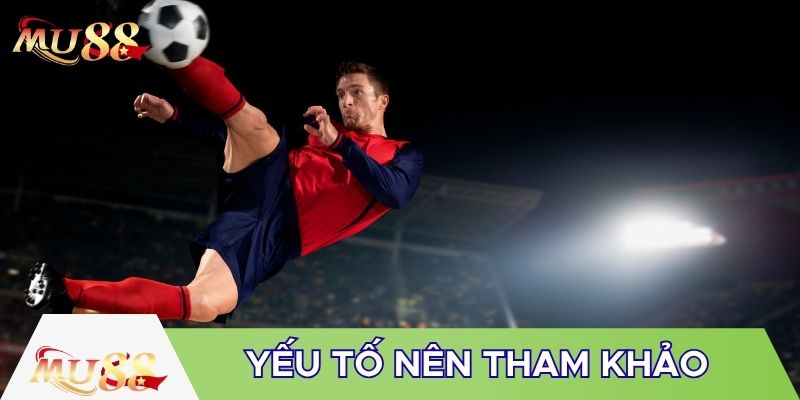 Yếu tố nên tham khảo
